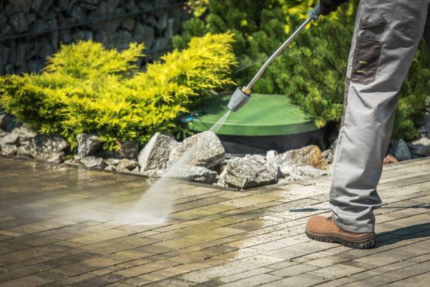 Best Fence Cleaning  in Medford, NY