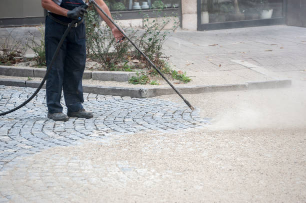 Best Roof Washing  in Medford, NY